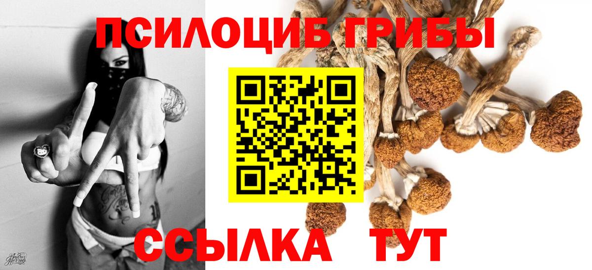 Галлюциногенные грибы мицелий Электрогорск
