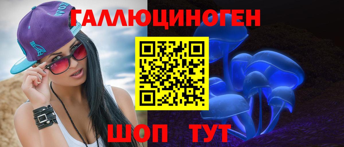 Электрогорск  Галлюциногенные грибы мицелий  Псилоцибиновые грибы Cubensis  Вход с VPN 